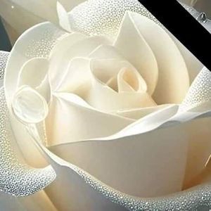 Meet your Posher, Jennie